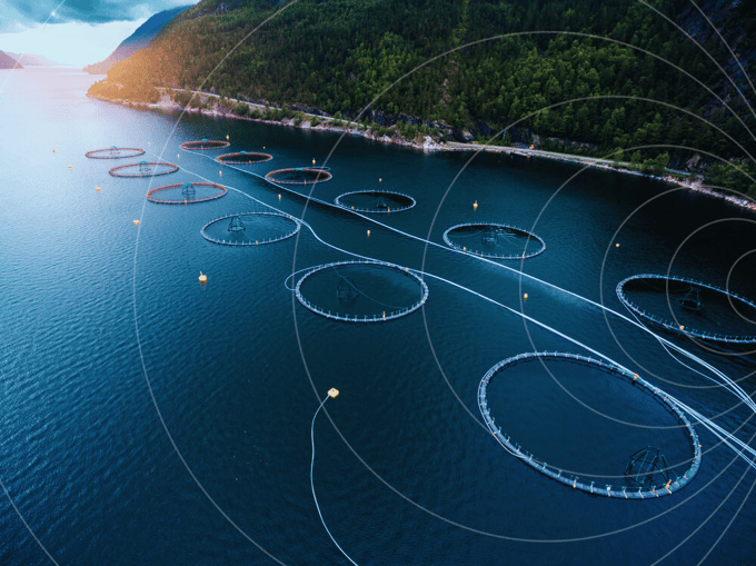 Aquaculture connectivity at a Norwegian fish farm, where Remora Robotics uses Com4