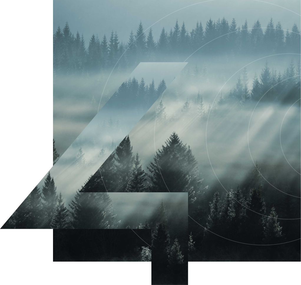 Norwegian forest symbolizing Com4’s roots and IoT connectivity in the Nordics