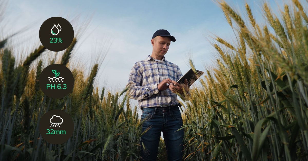 IoT-in-agriculture-A farmer using a tablet connected to IoT sensors in the field to monitor soil moisture, temperature, and crop health in real time for data-driven farm management.