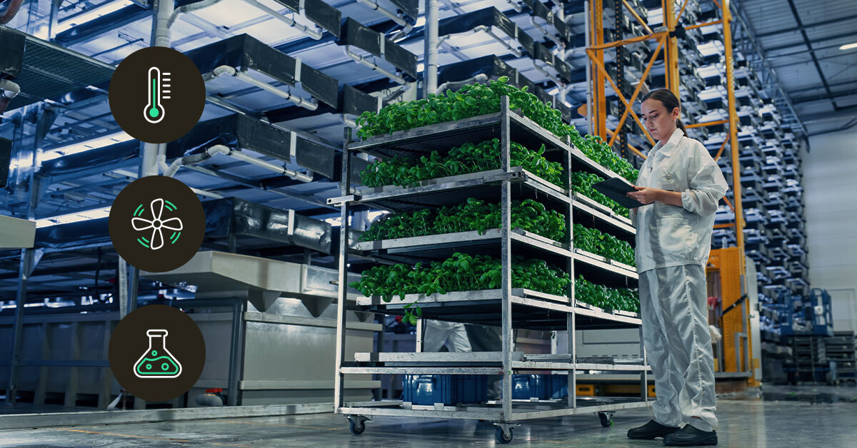 Metal trolley transports trays of young plants through a commercial greenhouse, illustrating automated horticulture with IoT monitoring of climate and irrigation.