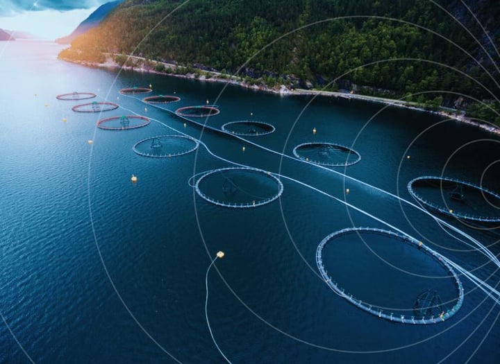 Banner showing modern aquaculture operations with fish farming pens in open water, connected sensors and IoT monitoring systems illustrating smart water management and data-driven fish farming.