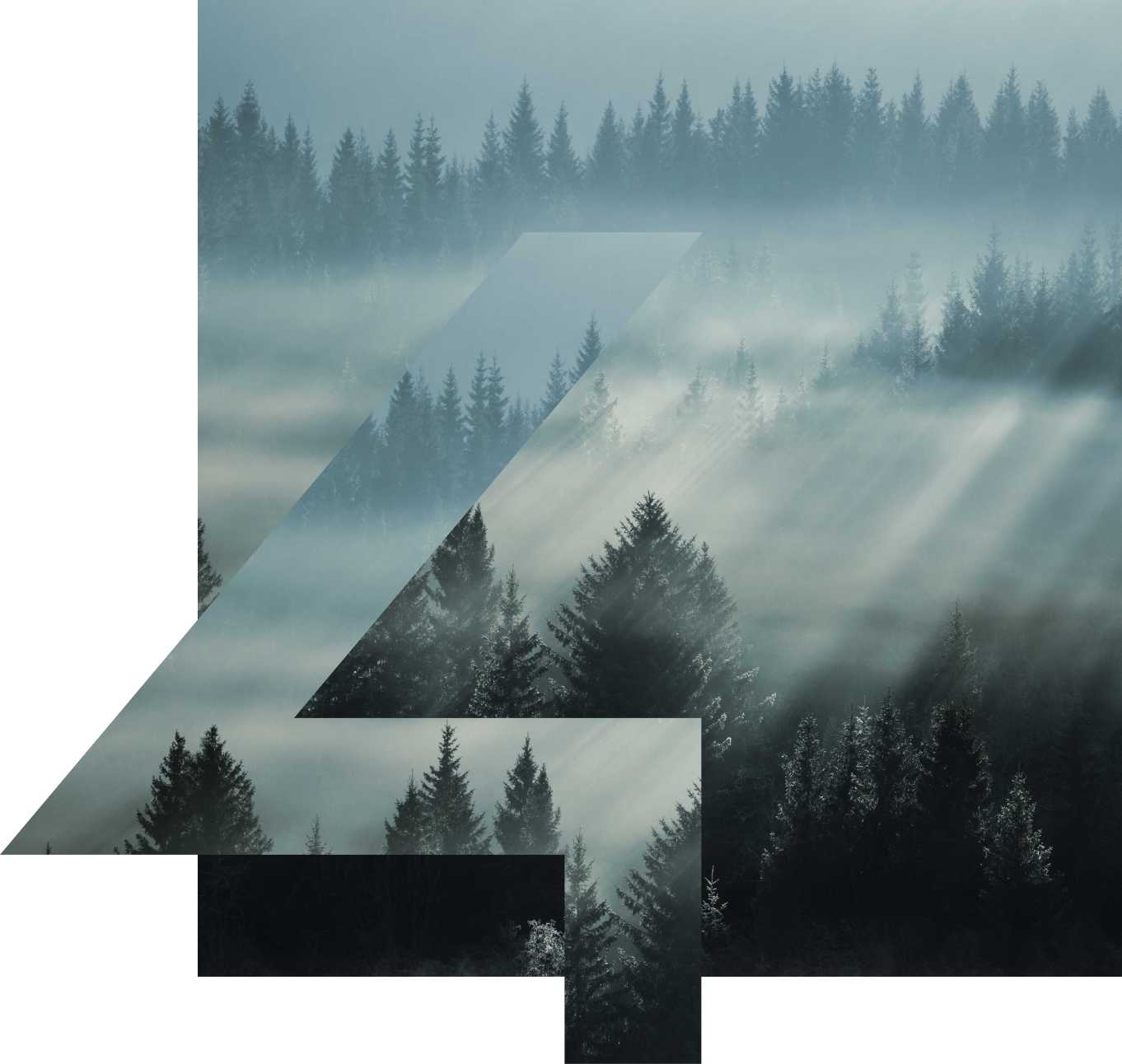 Forest 4