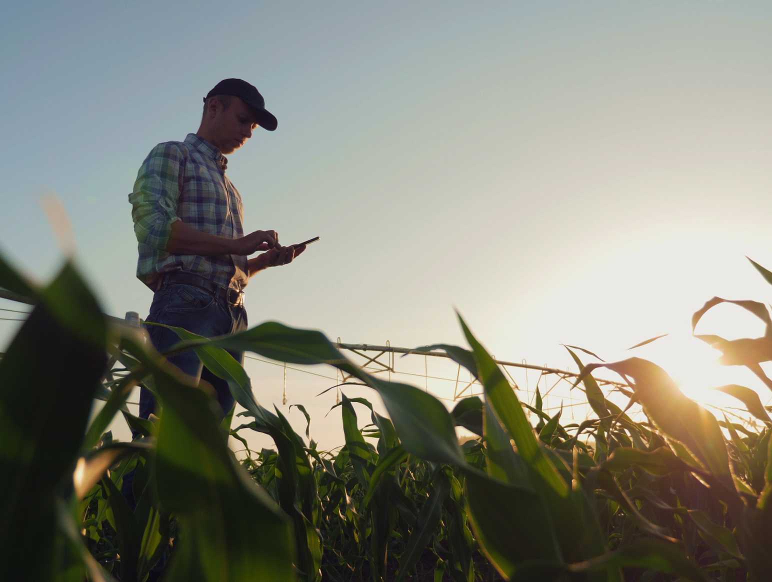 Man with tablet in field