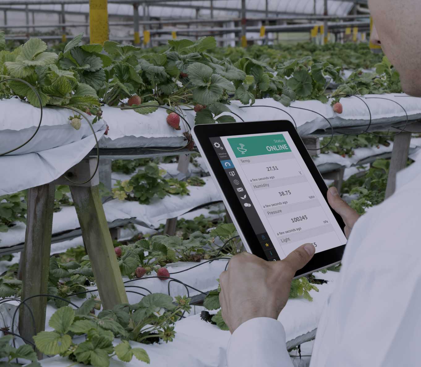 Tablet farming