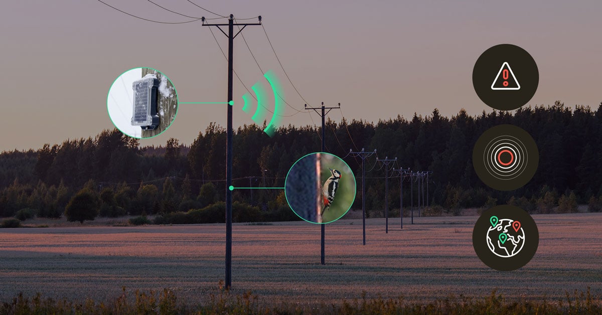 Gridguard IoT connectivity solution powered by Com4 enabling real-time monitoring and predictive maintenance for smart agriculture and rural infrastructure.