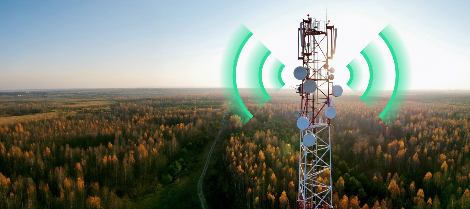 Fixed Wireless Access (FWA) telecom antenna installed on a tall mast, standing in the middle of a dense forest, providing high-speed internet connectivity to remote rural areas
